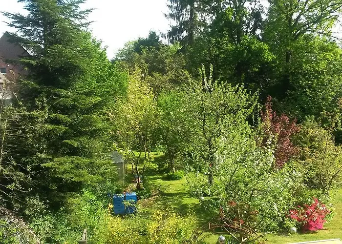 Im Gruenen Gremmendorf * Münster